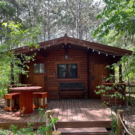 Fancy Fireflies Cabin Hayward Exterior photo