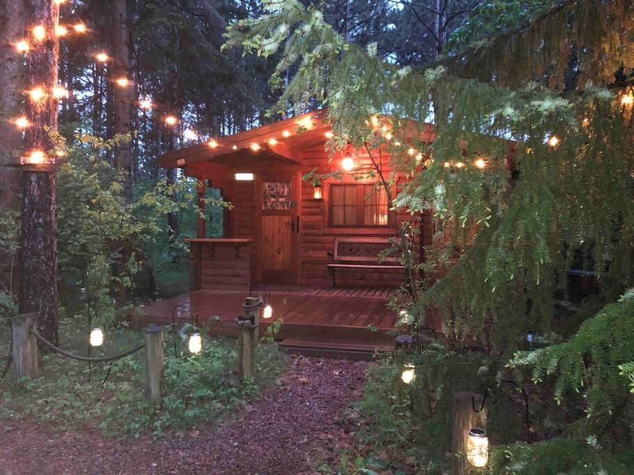 Fancy Fireflies Hayward